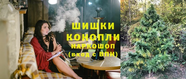 гашик Аркадак