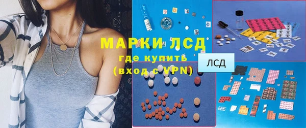 гашик Аркадак