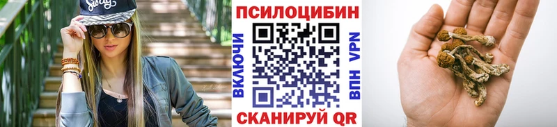 Галлюциногенные грибы Psilocybe  где купить наркотик  Партизанск 